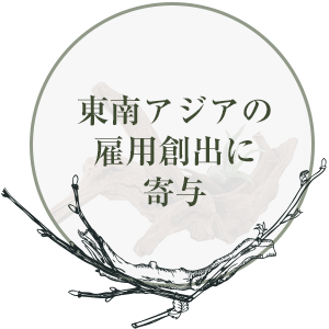 ブランチウッド