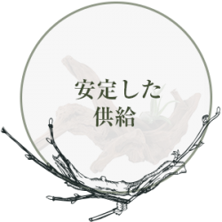 〇3