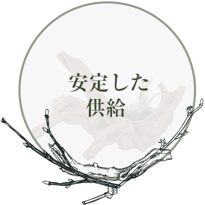 〇3