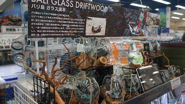 DSC00776のコピー