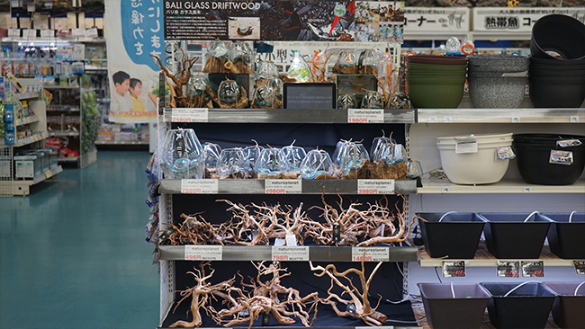 DSC00783のコピー