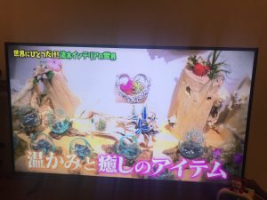 マツコの知らない世界【実は可愛いくて、美味しい深海魚＆流木インテリア】ガラス流木紹介